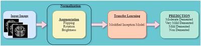 Transfer learning-based modified inception model for the diagnosis of Alzheimer's disease